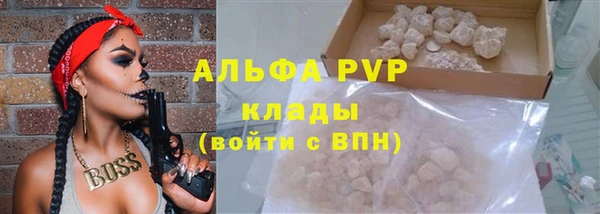 стаф Сосновоборск