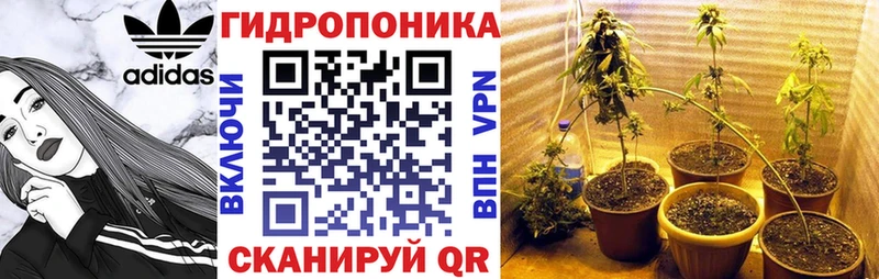 наркотики  Северо-Курильск  Каннабис гибрид 